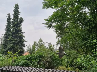 240618M01.webp