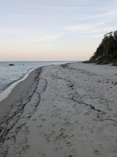 PXL_20240907_050922070.jpg