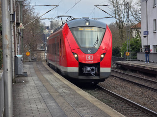 20250313_102413.jpg