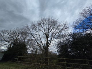 20250314_133033.jpg