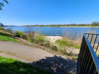 250407M01a.webp