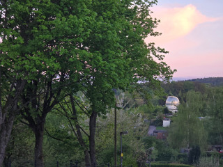 20250426_204152.jpg