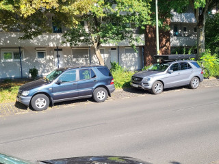 250701_090416 Mß1.jpg
