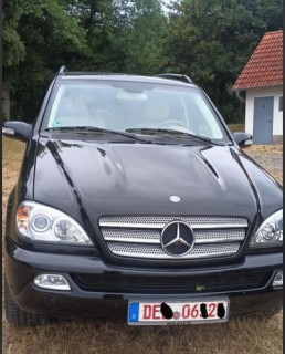 49816220py.jpg