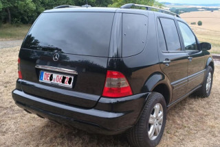 49804995gp.jpg