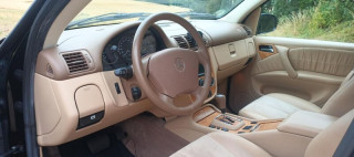 49804996vv.jpg