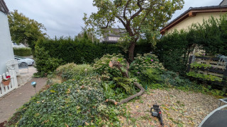 Krone entfernt