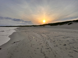 IMG_6747.jpeg