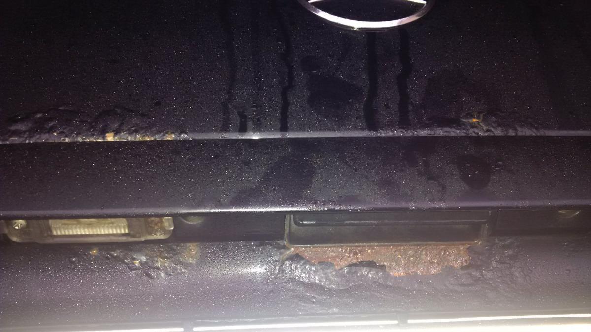 Rost Haube.jpg