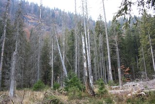 IMG_8587.JPG