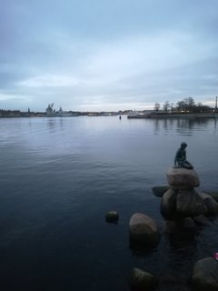IMG_20190129_164824.jpg