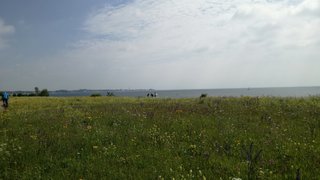 IMG_20190601_111847.jpg